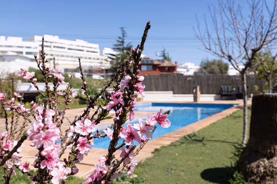 Casa Vincke omgeving foto 24